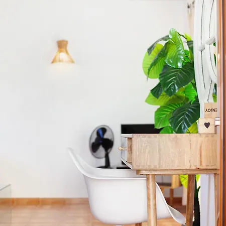 Charlotte * La Oliva